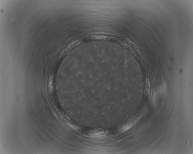 X0000085040267200703121441