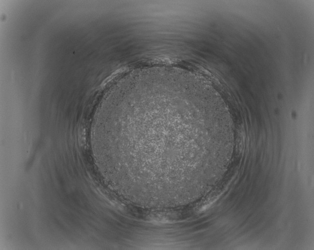 X0000085040268200703121441