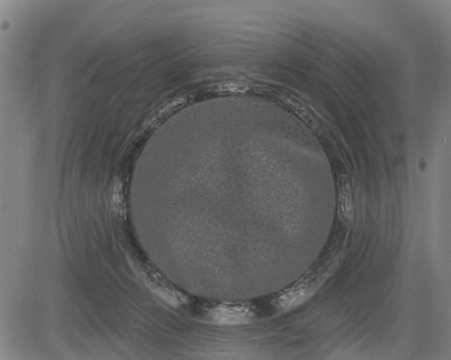 X0000085040270200703121441