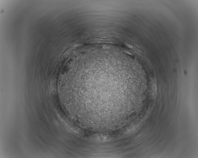 X0000085040272200703121441