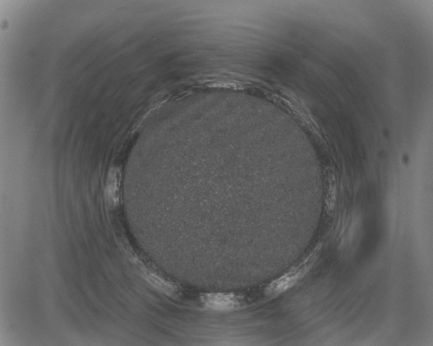 X0000085040273200703121441