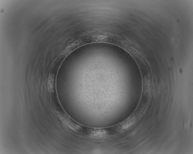 X0000085040274200703121441