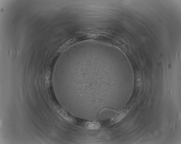 X0000085040275200703121441