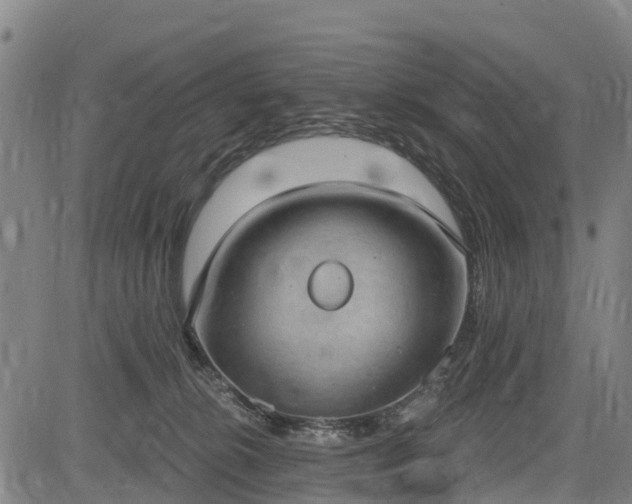 X0000085040276200703121441