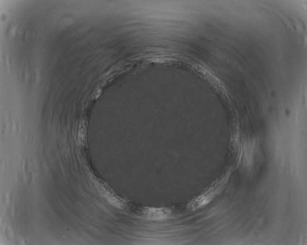 X0000085040277200703121441