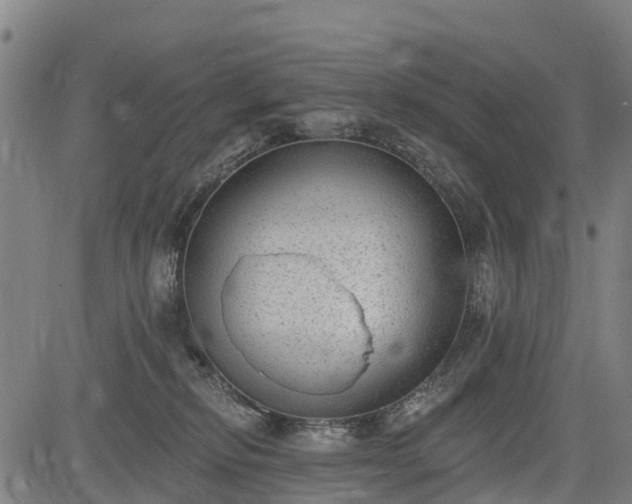 X0000085040278200703121441