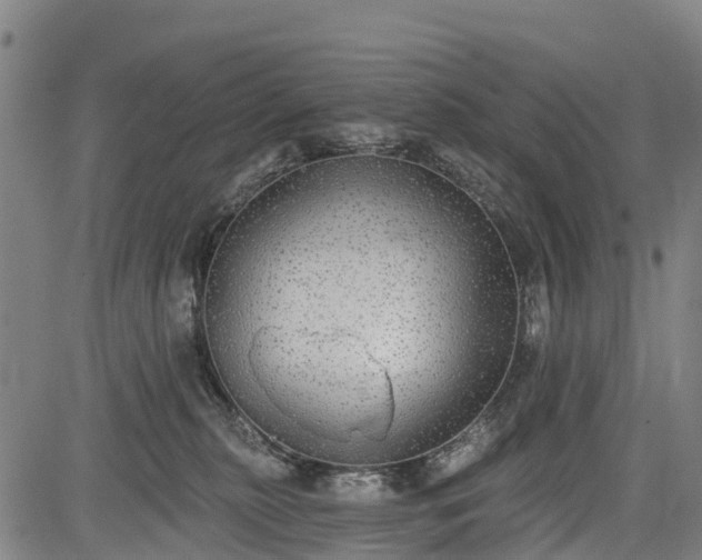 X0000085040279200703121441