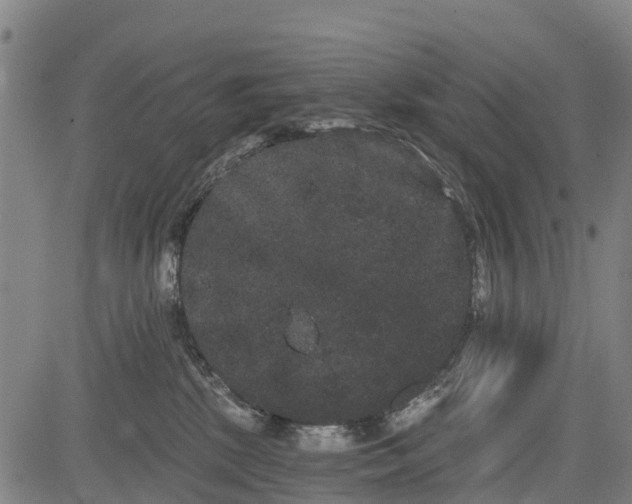 X0000085040281200703121441