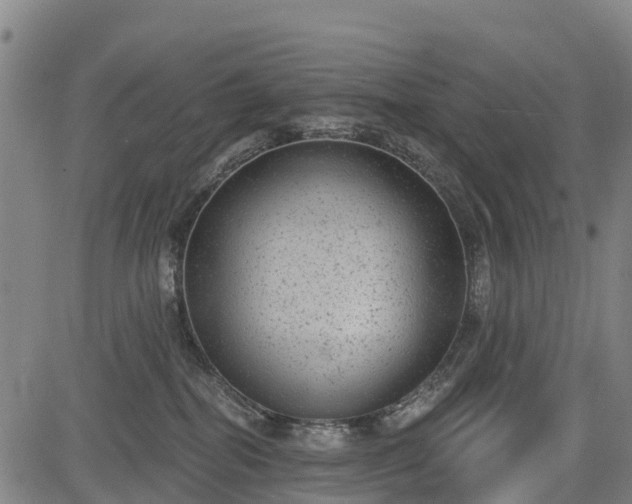 X0000085040282200703121441