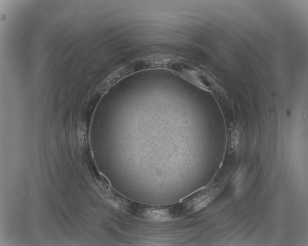 X0000085040283200703121441