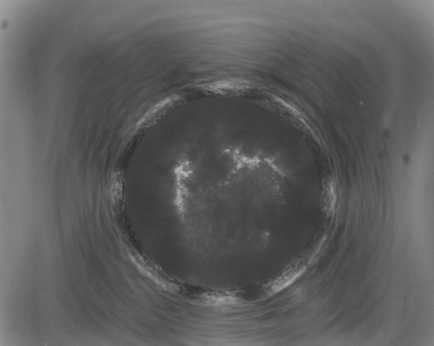 X0000085040284200703121441