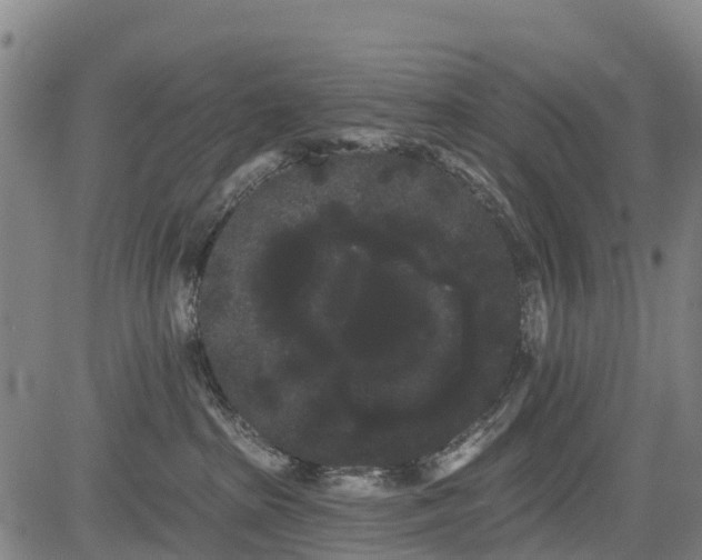 X0000085040285200703121441