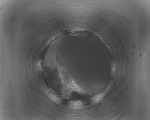 X0000085040286200703121441