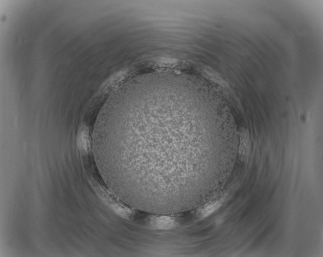 X0000085040287200703121441