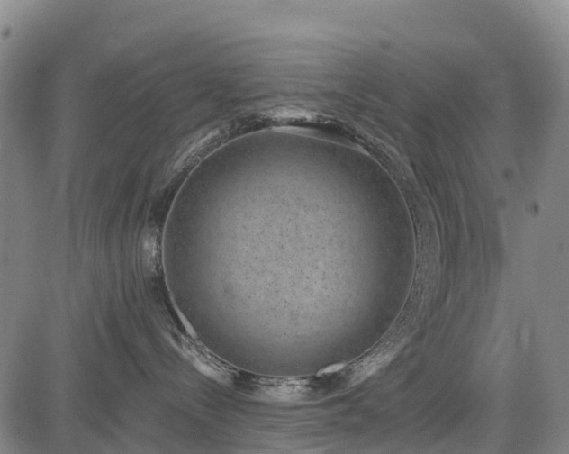 X0000085040288200703121441