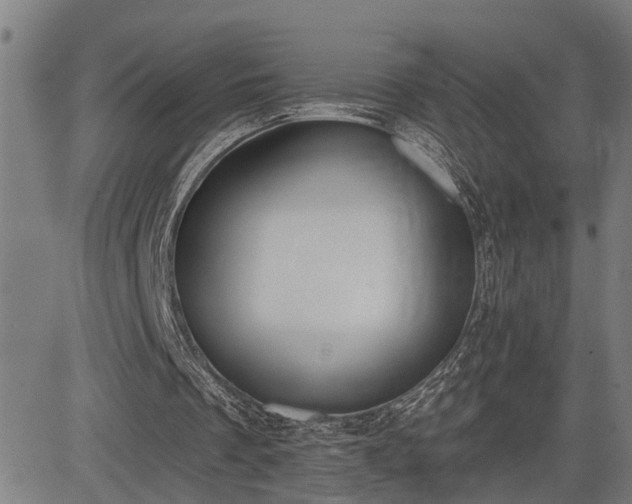 X0000085040289200703121440