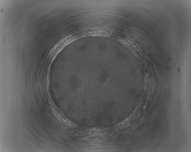 X0000085040290200703121440