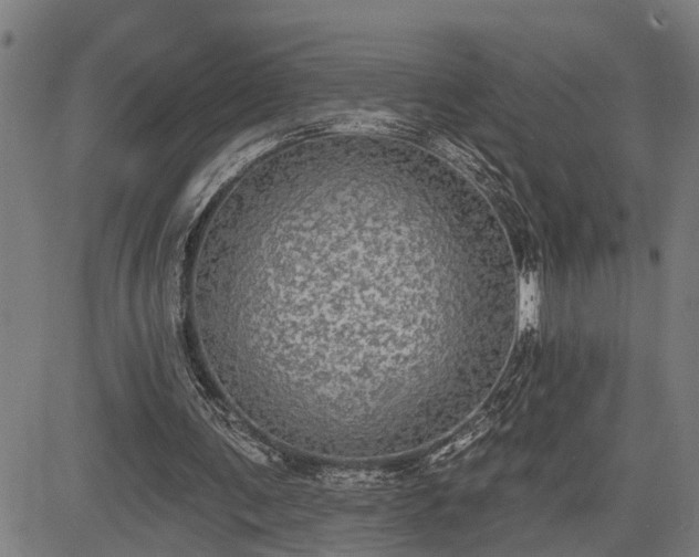 X0000085040291200703121440