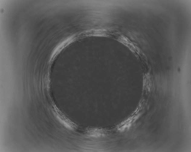 X0000085040293200703121440