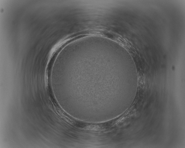 X0000085040294200703121440