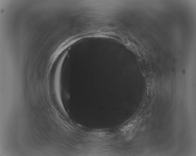 X0000085040295200703121440