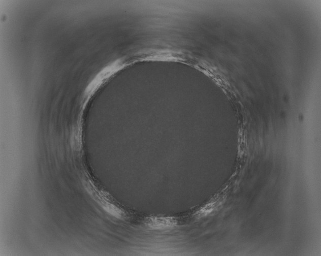 X0000085040296200703121440