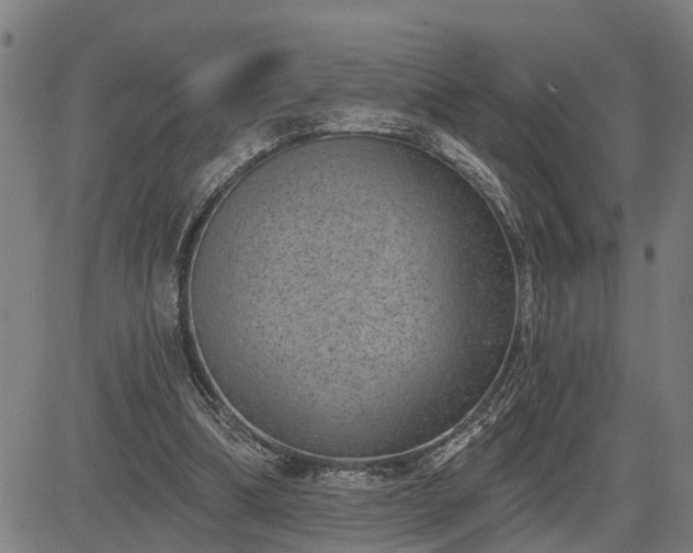 X0000085040298200703121440