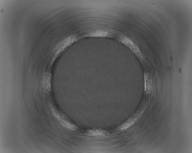 X0000085040300200703121440