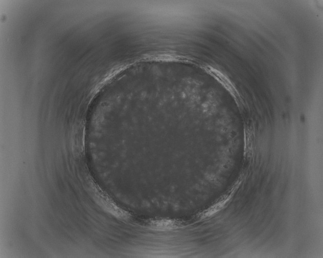 X0000085040301200703121440