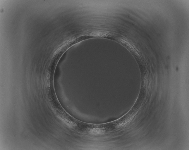 X0000085040303200703121440