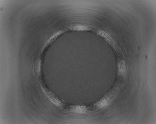 X0000085040304200703121440