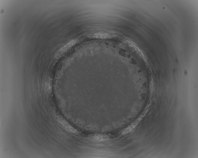 X0000085040305200703121440