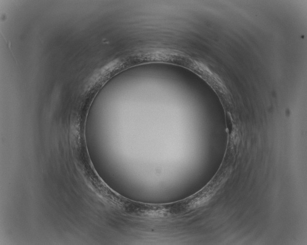 X0000085040306200703121440