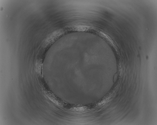 X0000085040307200703121440