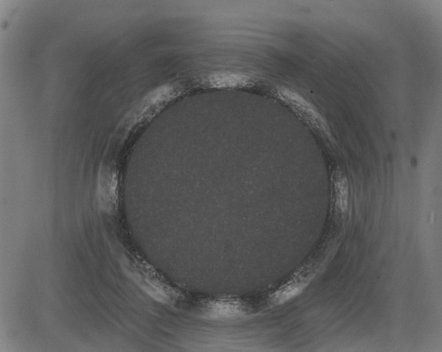 X0000085040308200703121440