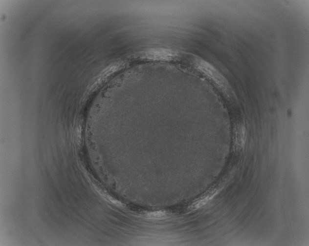 X0000085040309200703121440