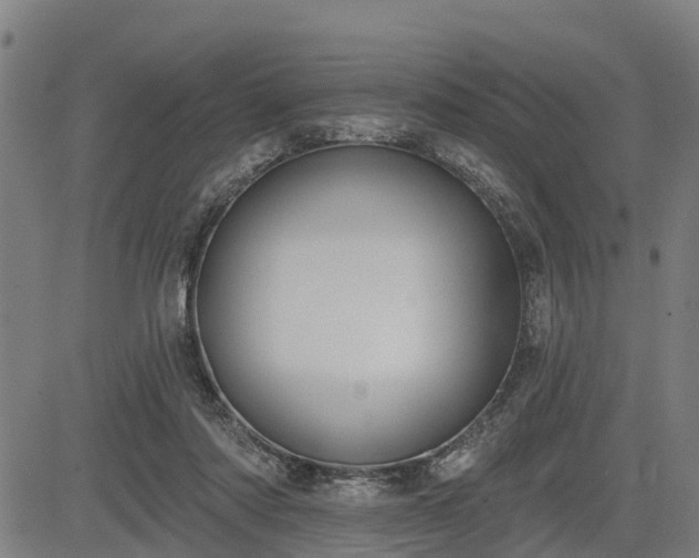 X0000085040310200703121440