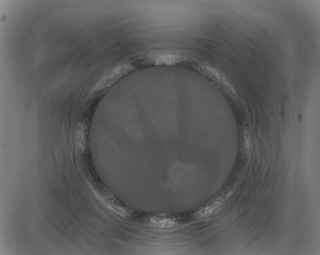 X0000085040311200703121440