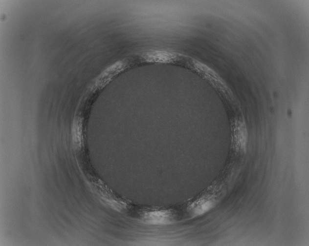 X0000085040312200703121440