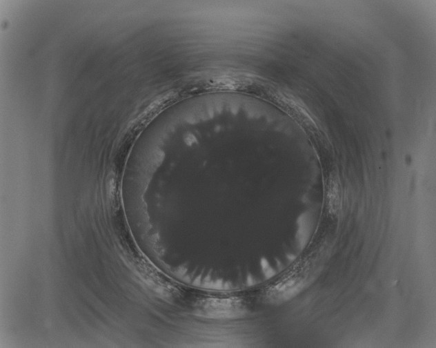 X0000085040314200703121440