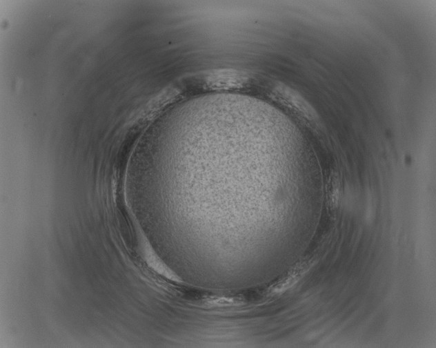 X0000085040315200703121440