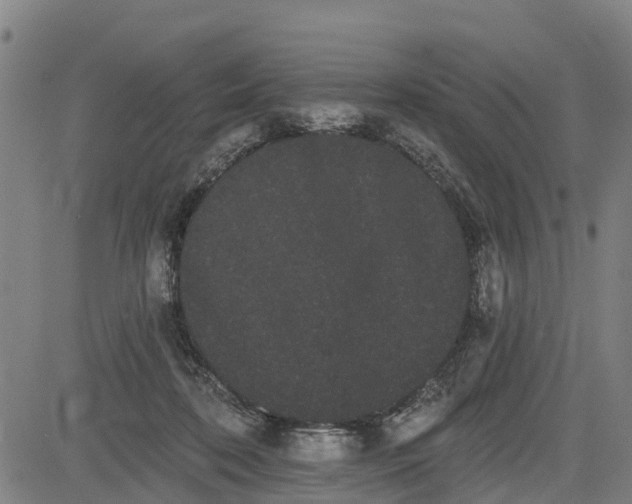 X0000085040316200703121440