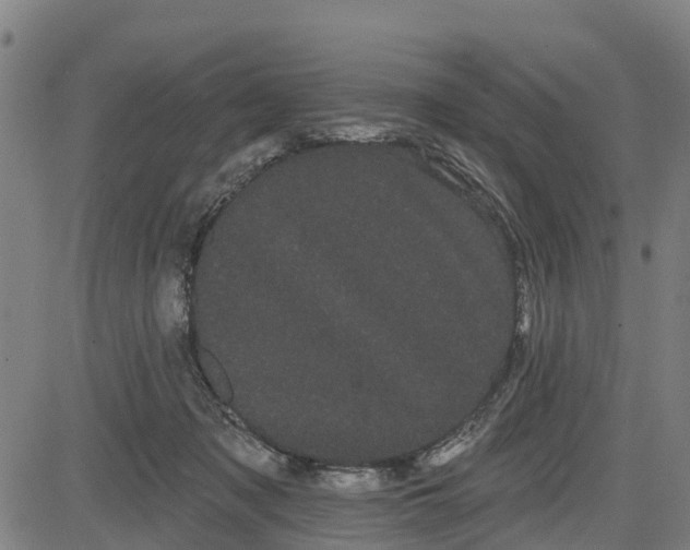 X0000085040317200703121440