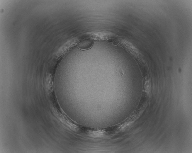 X0000085040318200703121440