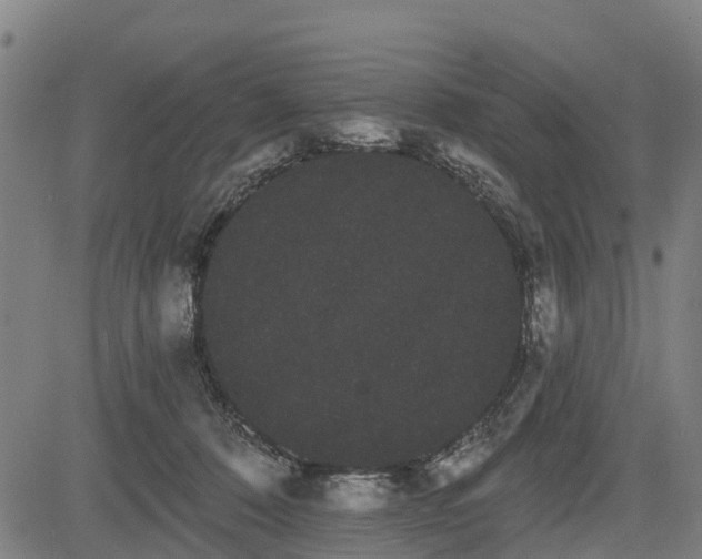 X0000085040320200703121440