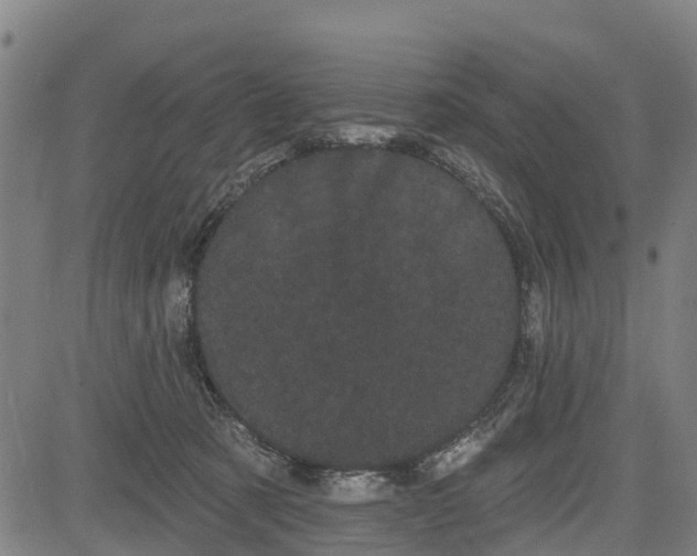 X0000085040321200703121440