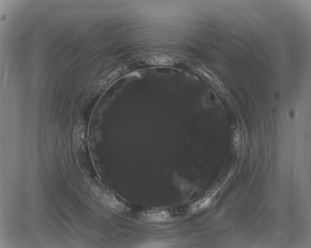 X0000085040322200703121440