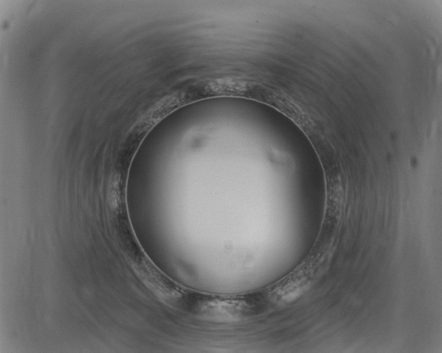 X0000085040323200703121440