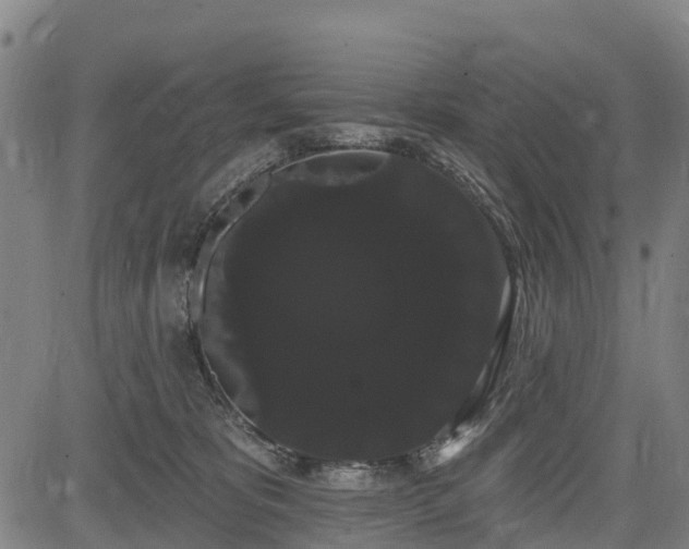 X0000085040325200703121440