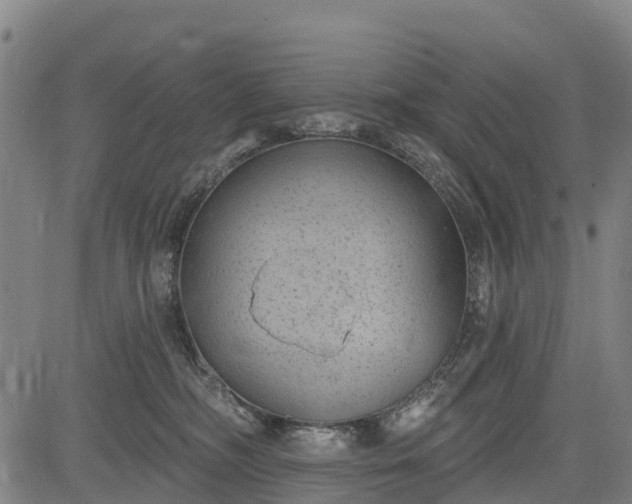 X0000085040326200703121440